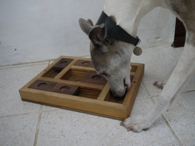 slider5.jpg