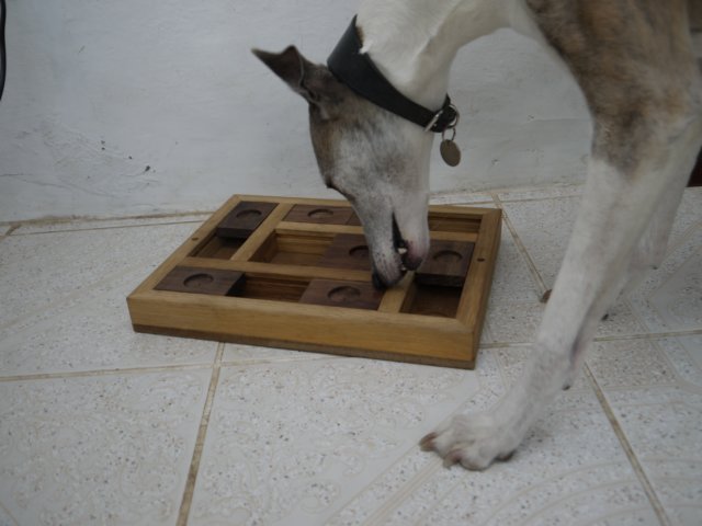 slider9.jpg
