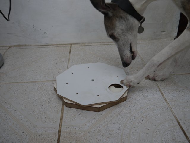 spinner4.jpg