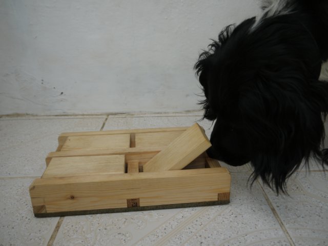 trapdoor.jpg