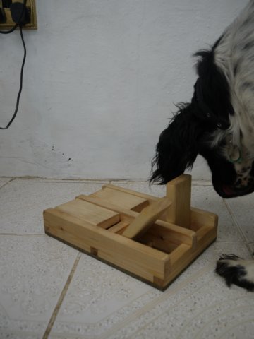 trapdoor2.jpg