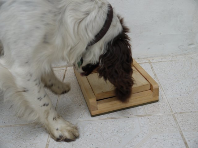 trapdoor4.jpg