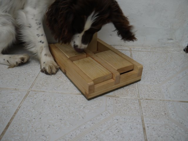 trapdoor6.jpg