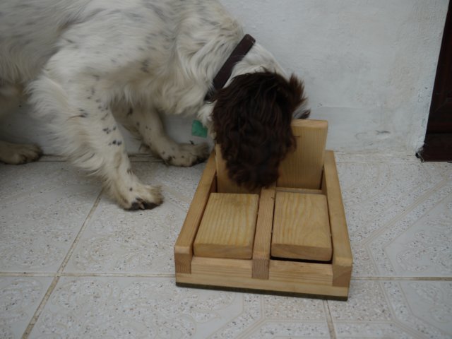 trapdoor7.jpg